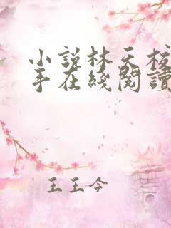 小说林天校花杀手在线阅读