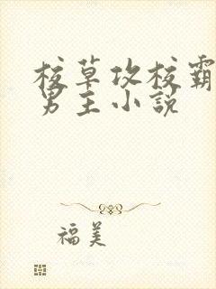 校草攻校霸受双男主小说