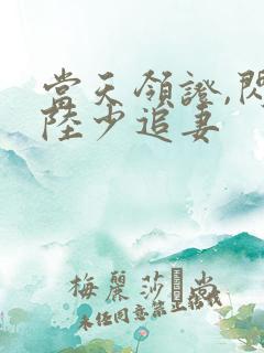 当天领证,闪婚陆少追妻