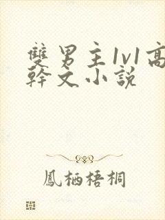 双男主1v1高干文小说