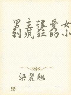 男主很爱女主爱到疯狂的小说古言