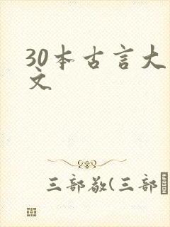 30本古言大叔文
