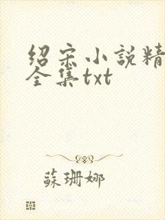 绍宋小说精校版全集txt