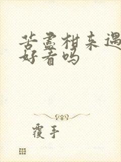 苦尽柑来遇见你好看吗