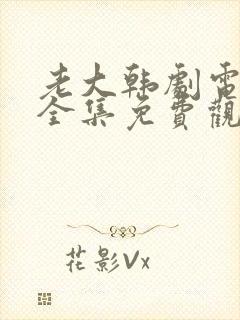 老大韩剧电视剧全集免费观看