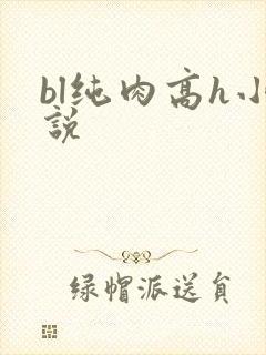bl纯肉高h小说
