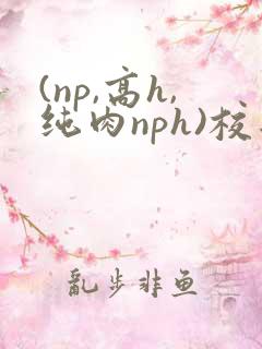 (np,高h,纯肉nph)校园
