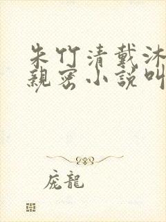 朱竹清戴沐白的亲密小说叫什么