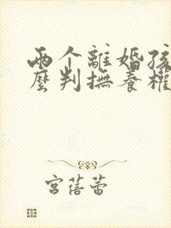 两个离婚孩子怎么判抚养权