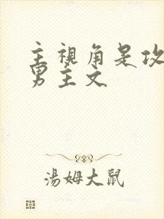 主视角是攻的双男主文