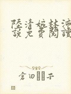 陆清婉林沛琛小说免费阅读最新章节