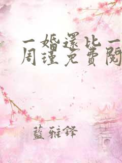 一婚还比一婚高周瑾免费阅读
