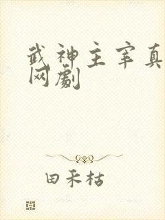 武神主宰真人版网剧