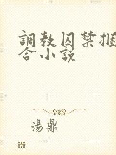 调教囚禁捆绑百合小说