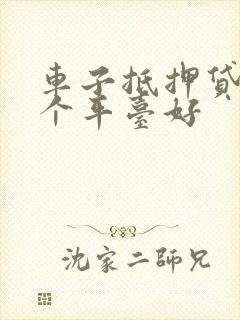 车子抵押贷款那个平台好