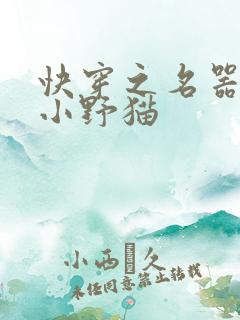 快穿之名器诱香小野猫