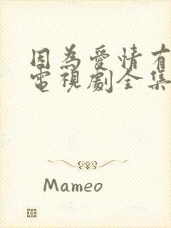 因为爱情有幸福电视剧全集免费