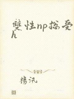 双性np总受高h