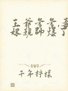 王爷爹爹,毒医娘亲帅爆了完结版