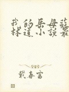 我的岳母苏沛真林道小说最新章节