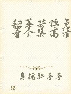 韶华若锦免费观看全集高清