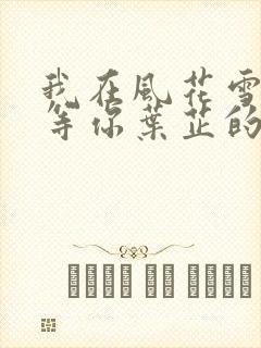 我在风花雪月里等你叶芷的孩子