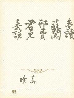 秦君邪苏梦安小说免费阅读全文