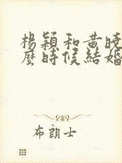 杨颖和黄晓明什么时候结婚的