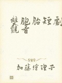 双胞胎短剧免费观看