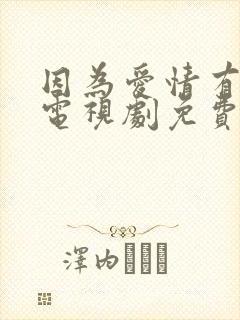 因为爱情有多美电视剧免费观看全集