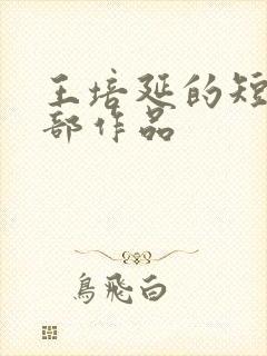 王培延的短剧全部作品