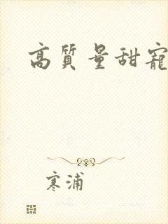 高质量甜宠古言