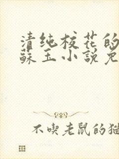 清纯校花的日常苏玉小说免费阅读最