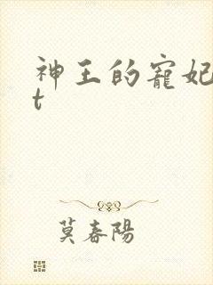 神王的宠妃txt