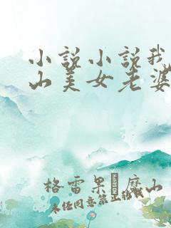 小说小说我的冰山美女老婆