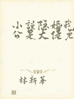 小说隐婚我的老公是大佬免费阅读