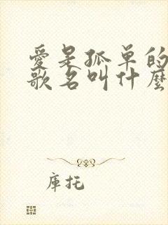 爱是孤单的心事歌名叫什么歌