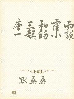 唐三和霍雨浩在一起的小说