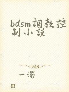 bdsm调教控制小说