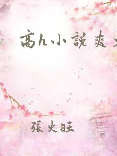 高h小说爽文