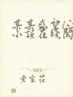 某某盛望/江添小说在线阅读免费