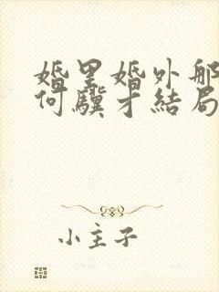 婚里婚外那些事何骥才结局