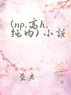 (np,高h,纯肉) 小说