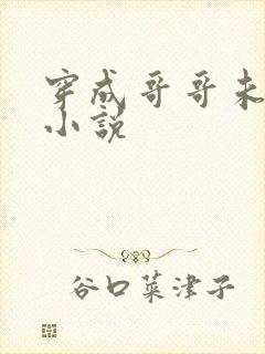 穿成哥哥未婚妻小说