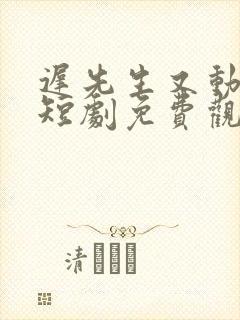 迟先生又动心了短剧免费观看全集高