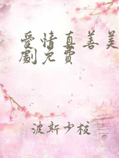 爱情真善美电视剧免费