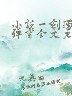小说一剑独尊无弹窗全文免费阅读