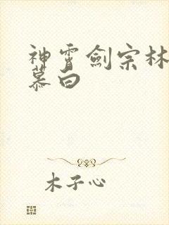 神霄剑宗林枫苏慕白