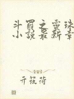 斗罗之灵珠神剑小说最新章下载