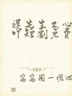 迟先生又心动了吖短剧免费观看